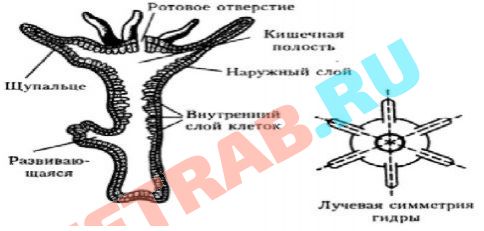 Проблемы со входом на кракен