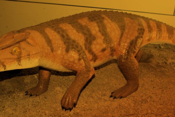 Кракен даркнет зайти